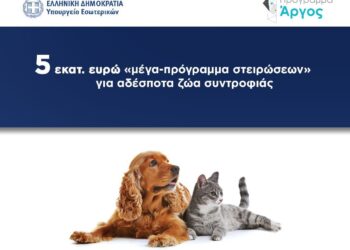 ΥΠΕΣ: Μέγα-πρόγραμμα στειρώσεων για τα αδέσποτα ζώα συντροφιάς