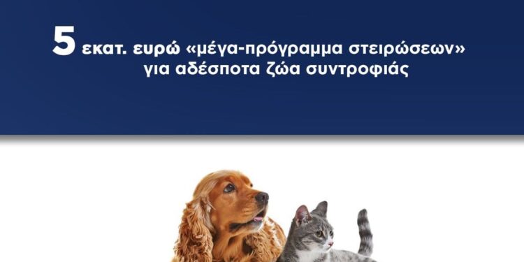 ΥΠΕΣ: Μέγα-πρόγραμμα στειρώσεων για τα αδέσποτα ζώα συντροφιάς