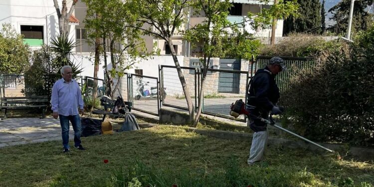Χιλιάδες επιστολές για καθαρισμό οικοπέδων από τον Δήμο Αχαρνών
