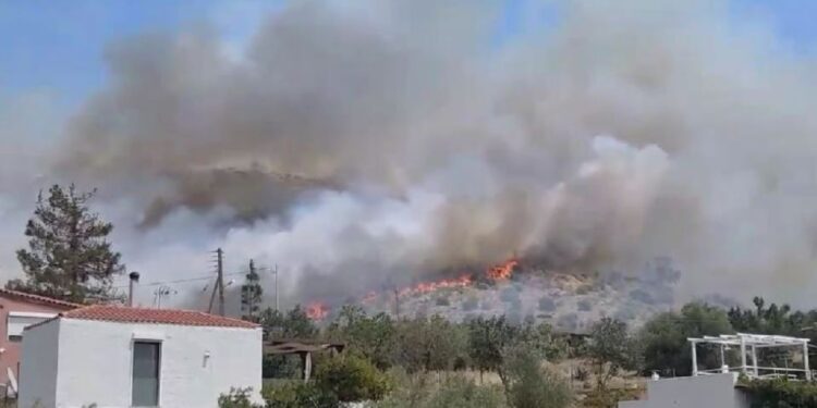 Πυρκαγιές:  Τουλάχιστον 6.000 στρέμματα δασικής έκτασης ο απολογισμός της πρώτης καταστροφής