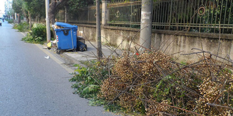 Με ραντεβού θα πραγματοποιείται η αποκομιδή των κλαδεμάτων στον Δήμο Βάρης Βούλας Βουλιαγμένης