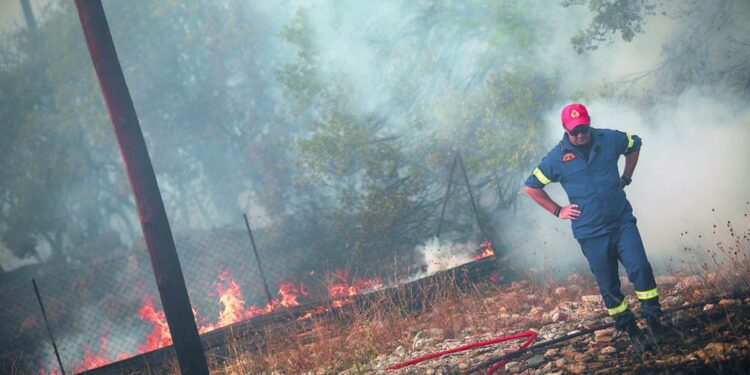 Φωτιά στην Ιτέα: Στάχτη 3.000 στρέμματα γεωργικής έκτακτης – Κάηκαν υπεραιωνόβια δέντρα στην Άμφισσα