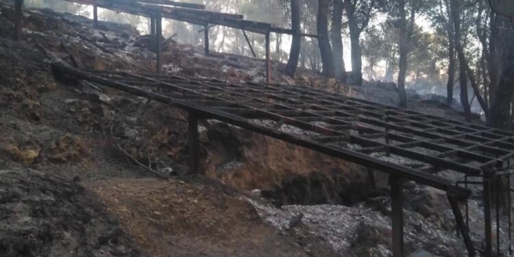 Φωτιά στο μυκηναϊκό νεκροταφείο στις Πόρτες Αχαΐας