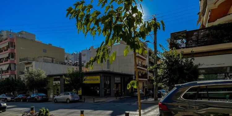 Δήμος Αθηναίων: Πάνω από 3.700 δέντρα προστέθηκαν σε 2,5 χρόνια στις γειτονιές της πόλης