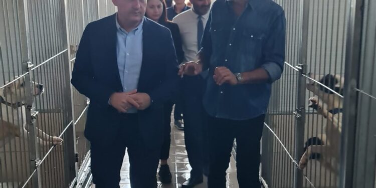 Μηνύματα του Αναπ. Υπουργού Εσωτερικών Στέλιου Πέτσα, από το ΔΙΚΕΠΑΖ