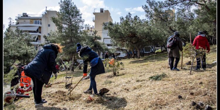 Σε  δενδροφύτευση του Άλσους Βώκου προχωρά  ο Δήμος Νίκαιας-Αγ.Ι. Ρέντη