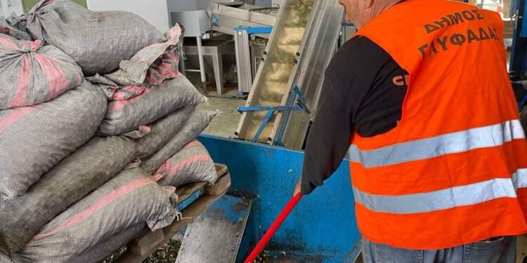 Δύο τόνους ελαιόλαδο παράγει o Δήμος Γλυφάδας από το λιομάζωμα
