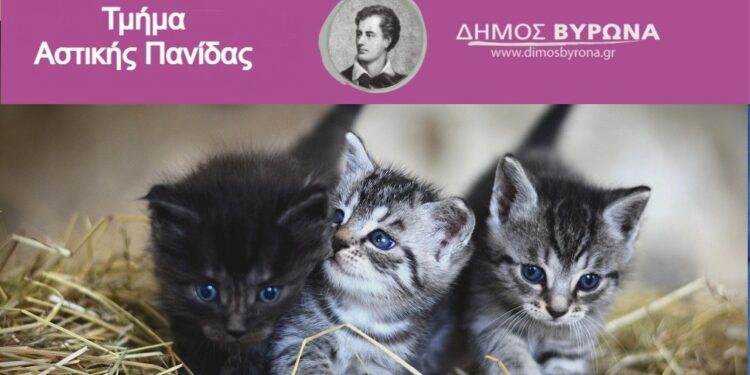 Δήμος Βύρωνα: Δωρεάν στειρώσεις για αδέσποτες γάτες