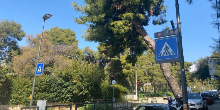 Έξυπνος αστικός εξοπλισμός από τον Δήμο Λυκόβρυσης-Πεύκης