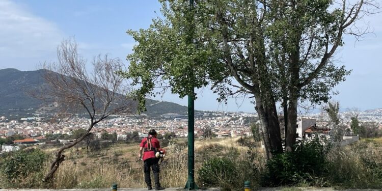 ΣΠΑΠ: Καθαρισμός και αποψίλωση αστικών και περιαστικών περιοχών στον δήμο Παλλήνης