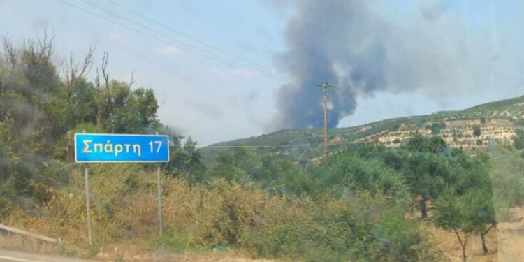 Μεγάλη φωτιά σε δασική έκταση στη Σπάρτη
