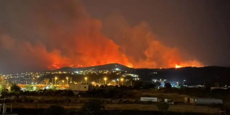 Εισαγγελική έρευνα για τη φωτιά στη Μαγνησία