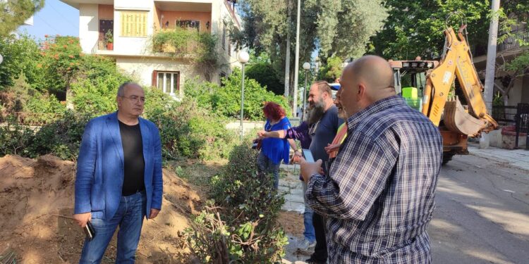 Επτά ακόμα αιωνόβιες ελιές βρήκαν νέο σπίτι στον Δήμο Ηρακλείου Αττικής