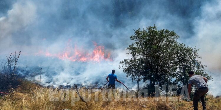 Φωτιά στον Γαλατά Αιτωλοακαρνανίας και Βοιωτία