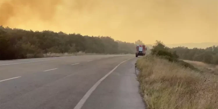 Συναγερμός στην κυβέρνηση: Φωτιές σε Αλεξανδρούπολη, Βοιωτία, Εύβοια και Ροδόπη