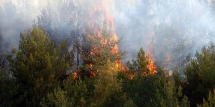 Φυλακή και τσουχτερά πρόστιμα μέχρι 30.000 για τους εμπρηστές