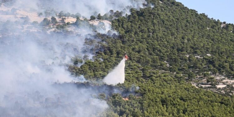 Φωτιά: Πύρινος εφιάλτης στην Πάρνηθα – Μάχη να μην φτάσει στους Θρακομακεδόνες