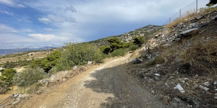 ΣΠΑΠ: Ολοκληρώθηκαν οι εργασίες συντήρησης δασικών δρόμων, στο Πεντελικό
