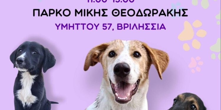 Δήμος Βριλησσίων: Γιορτή υιοθεσίας αδέσποτων ζώων στο Πάρκο Μ. Θεοδωράκης