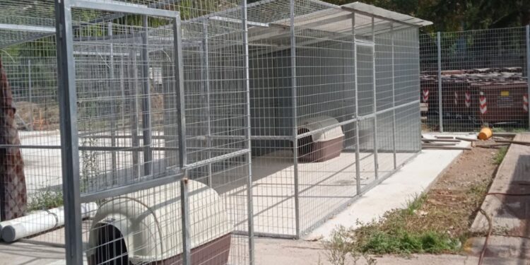 Δήμος Βύρωνα: Σε λειτουργία ο χώρος προσωρινής φιλοξενίας αδέσποτων