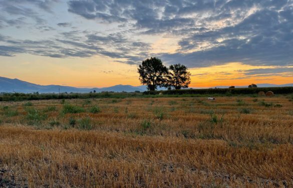 Συννεφιά και τοπικές βροχές και σήμερα