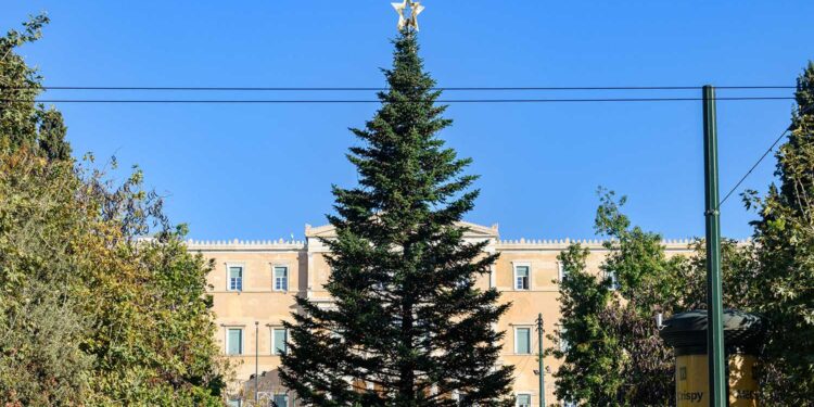 Δήμος Αθηναίων: Την Πέμπτη 23 Νοεμβρίου ανάβει το Χριστουγεννιάτικο Δέντρο στο Σύνταγμα