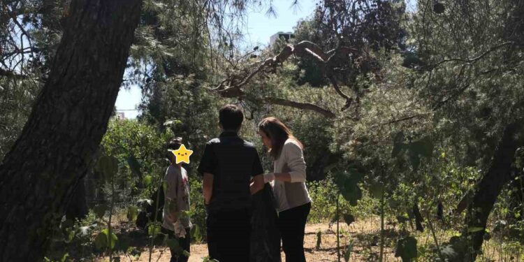 Απόλυτα επιτυχημένη η δράση καθαρισμού του Δάσους Μορέλλα!