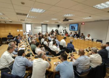 Αυτό ζήτησαν οι δήμαρχοι της Αττικής από τον Λιβάνιο