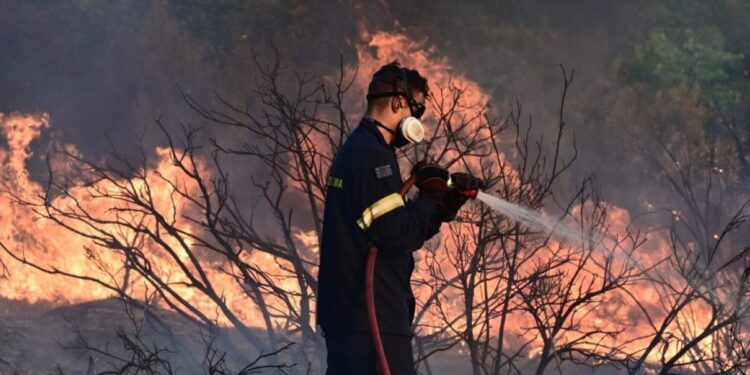 Κάλεσμα για ενίσχυση των πυρόπληκτων περιοχών από την Δήμο Ηρακλείου Αττικής