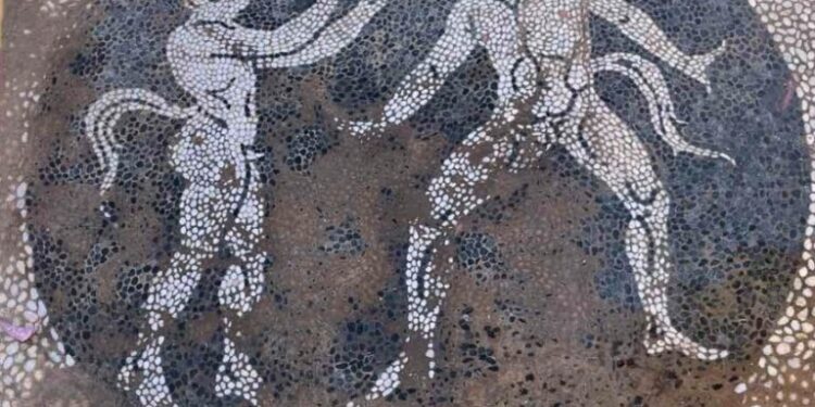 Ερέτρια: Αποκαλύφθηκε βοτσαλωτό ψηφιδωτό δαπέδου του 4ου αιώνα π.Χ.