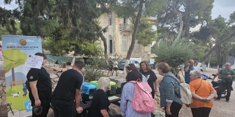 Ο Δήμος Ηρακλείου Αττικής γιόρτασε την Παγκόσμια Ημέρα των Ζώων