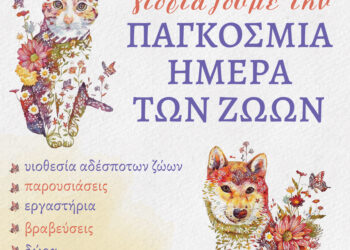 Γιορτή αφιερωμένη για τα ζώα το Σάββατο 5/10 στον Δήμο Ηρακλείου Αττικής