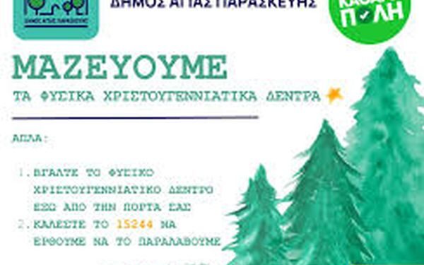 Δήμος Αγίας Παρασκευής: Φέτος τα χριστουγεννιάτικα δέντρα «επιστρέφουν»