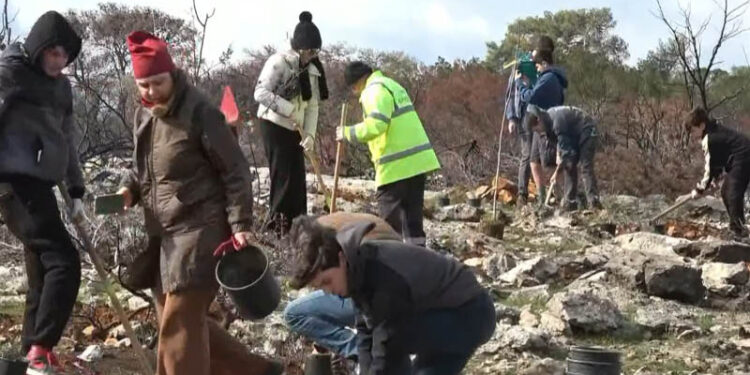 ΣΠΑΥ: 1.300 νέα δέντρα δίνουν πνοή στην Αγία Μαρίνα Κρωπίας
