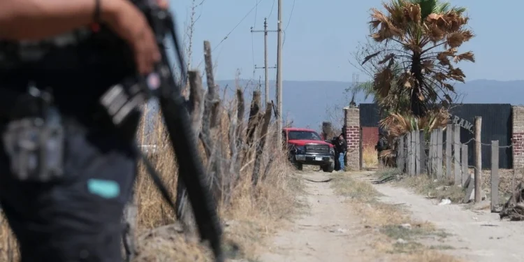 Μεξικό: Βρήκαν ανθρώπινα οστά σε φερόμενα μυστικά κρεματόρια – Οι Αρχές ξεκίνησαν έρευνες