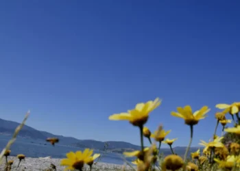 Καιρός Πρωτομαγιάς: Άνεμοι έως 8 μποφόρ αύριο και μετά καλοκαίρι με τη θερμοκρασία να φτάνει τους 27°C