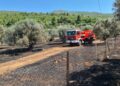 Καθαρισμός οικοπέδων: Ανακοινώθηκε παράταση στην προθεσμία