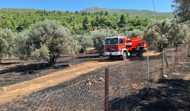 Καθαρισμός οικοπέδων: Ανακοινώθηκε παράταση στην προθεσμία