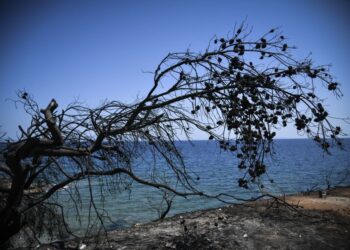 Δίκη για τη φονική πυρκαγιά στο Μάτι: Στις 3 Ιουνίου η απόφαση του Εφετείου