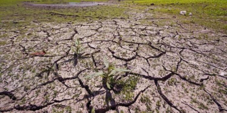 Ξεκίνησε η λήψη μέτρων για την αντιμετώπιση της ξηρασίας στη Δυτική Ελλάδα