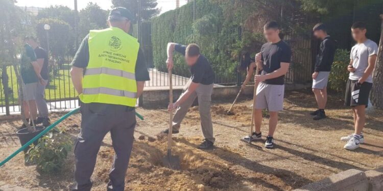 Δήμος Κηφισιάς: Φύτευση με συμβολισμούς στο Αναξαγόρειο Λύκειο Ν. Ερυθραίας