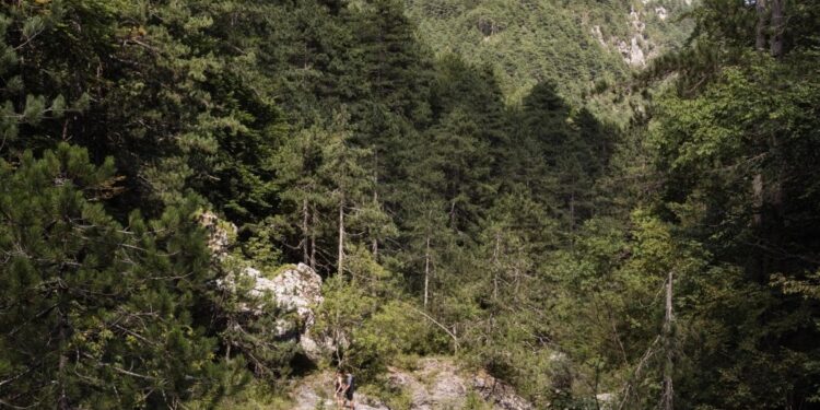 Σκοτώθηκε 60χρονη Γερμανίδα κατά τη διάρκεια ανάβασης στον Όλυμπο
