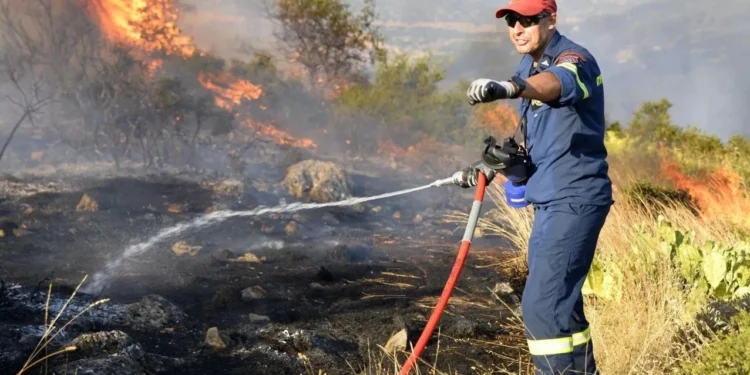 Συναγερμός για μεγάλη φωτιά στην Αλεξανδρούπολη – Σηκώθηκαν 3 αεροσκάφη