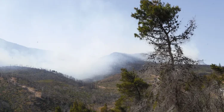 Υπό μερικό έλεγχο η πυρκαγιά στην Πάρνηθα