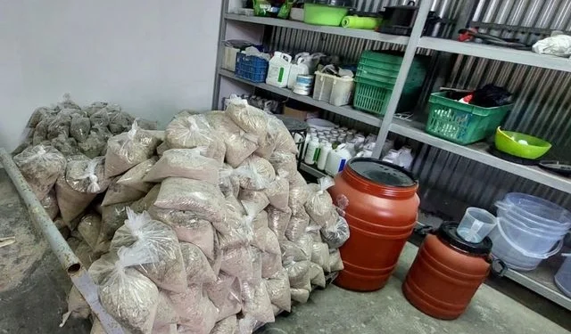 Κύκλωμα έφερνε στην Ελλάδα κοκαΐνη σε εμποτισμένα δέρματα