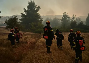 Φωτιά στην περιοχή Μέλισσα Λεχαινών – Επιχερούν ισχυρές πυροσβετικές δυνάμεις